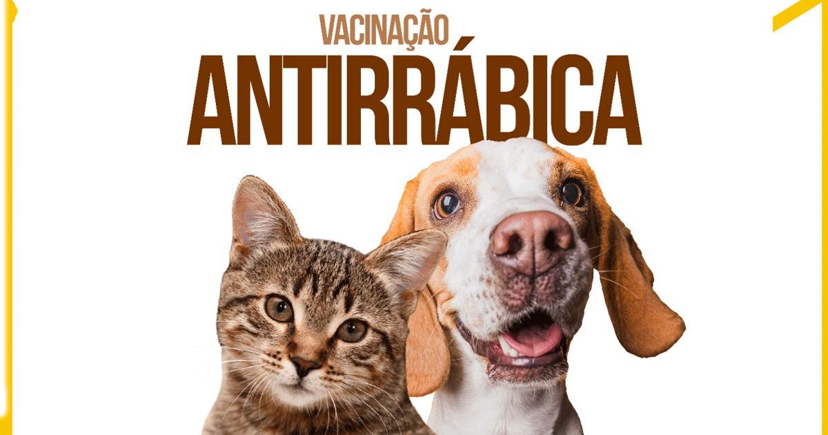 You are currently viewing Campanha de Vacinação Antirrábica 2025 – São Pedro do Sul (Zonas A e B)